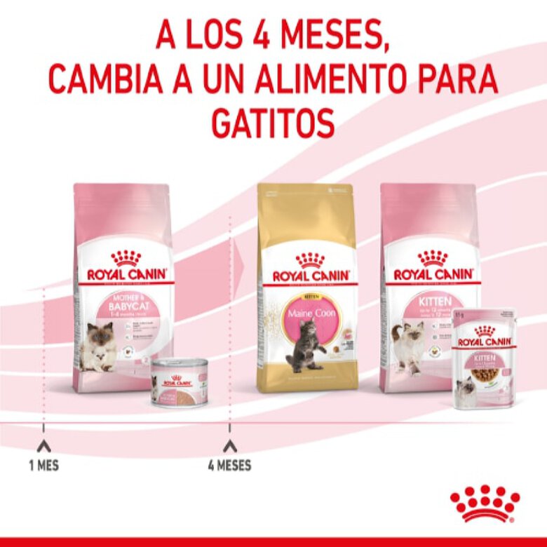 Pack 12 Latas Royal Canin Babycat Instinctive 195 g, , large image number null